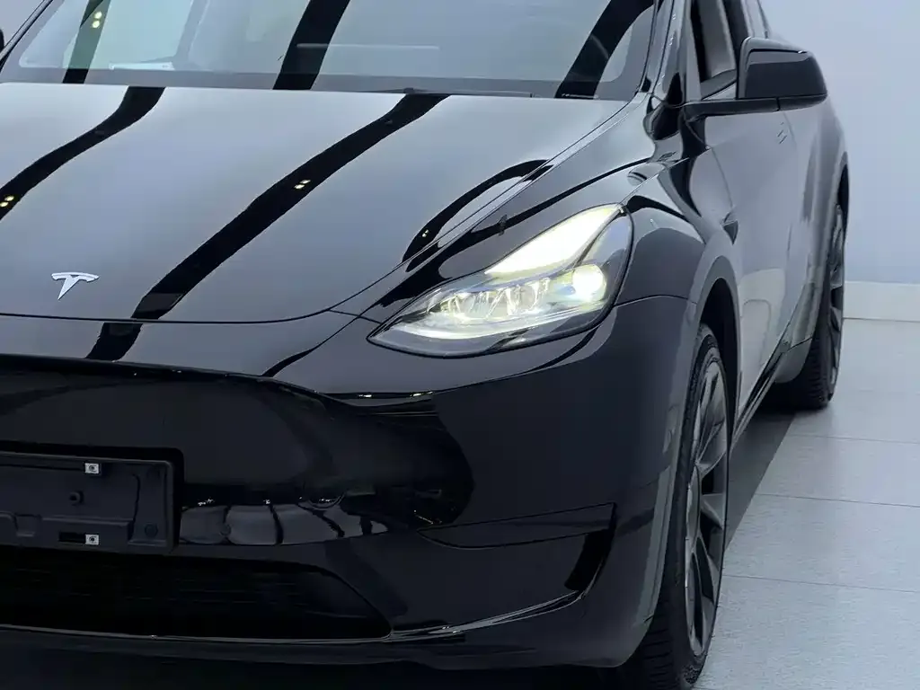 Tesla Model Y — фото 9