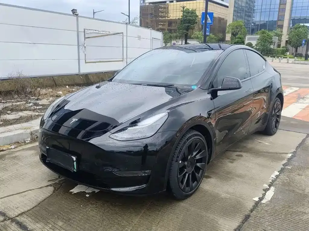 Tesla Model Y — фото 1