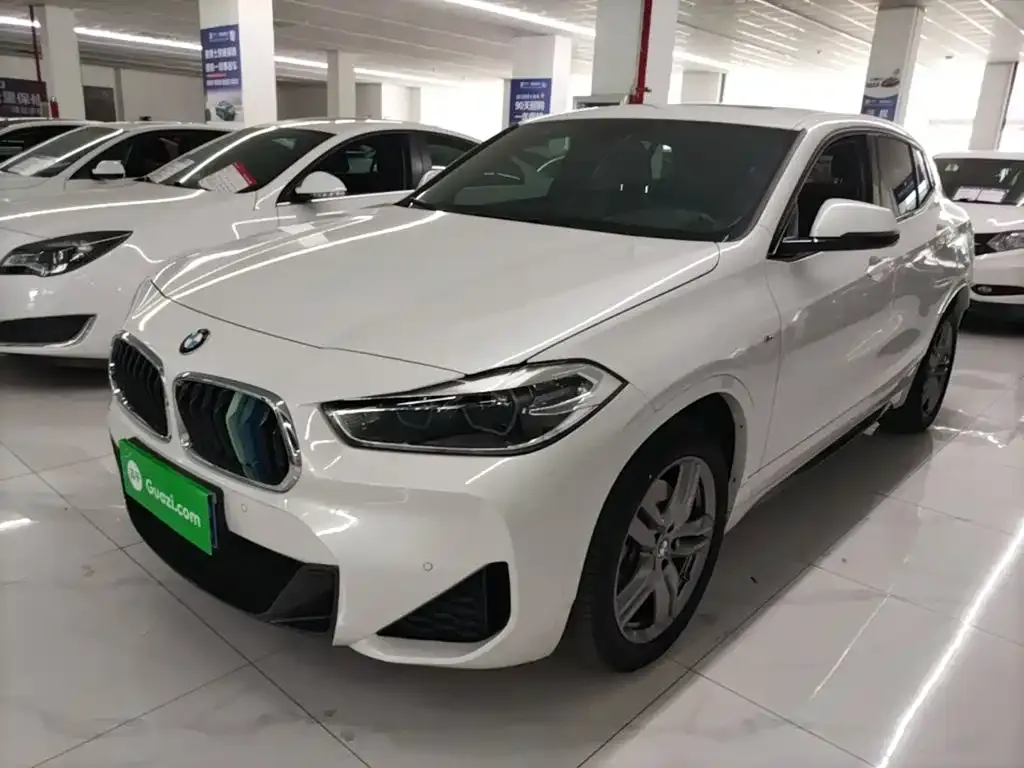 BMW X2 — фото 1