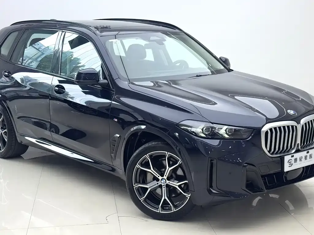 BMW X5 — фото 5