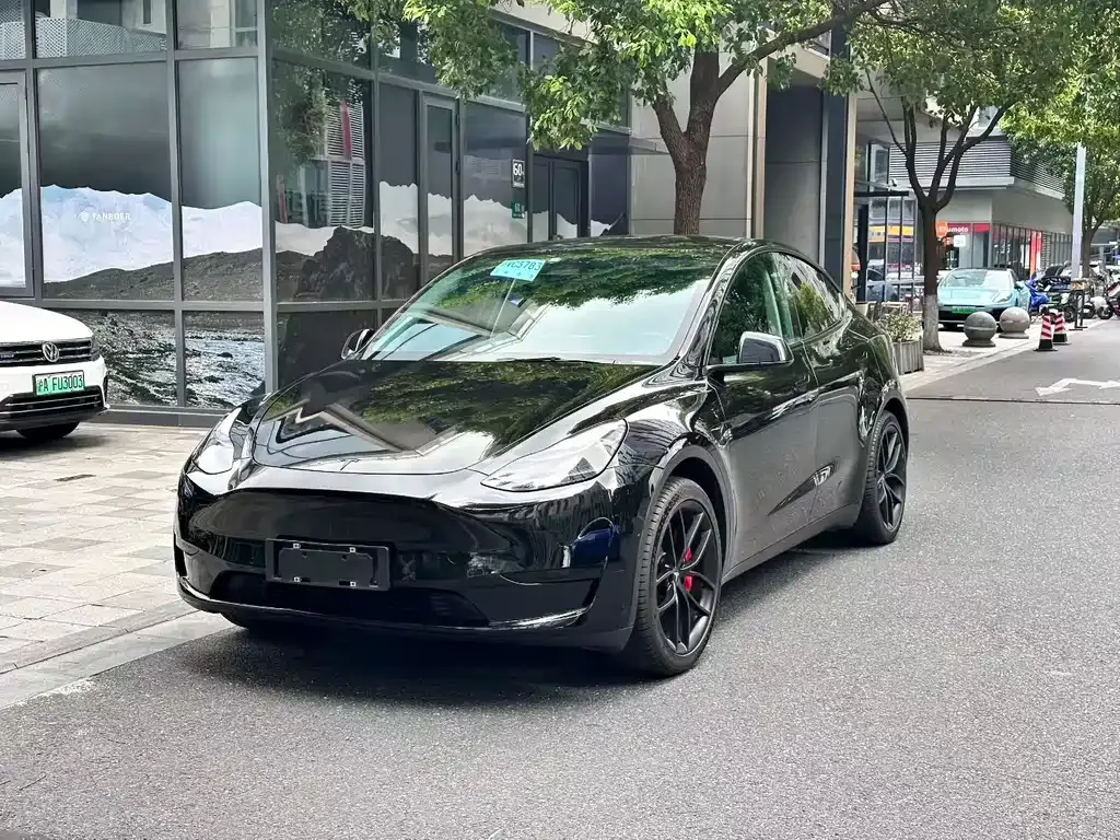 Tesla Model Y — фото 1