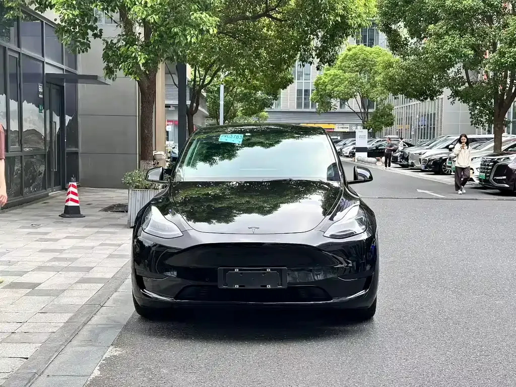 Tesla Model Y — фото 8
