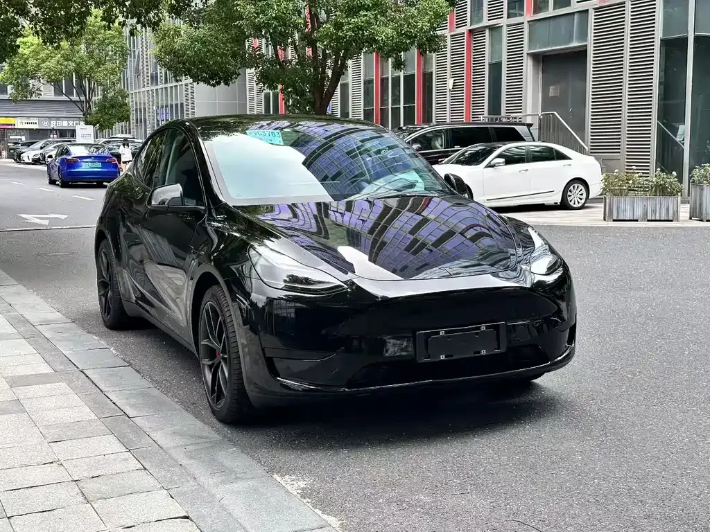 Tesla Model Y — фото 7