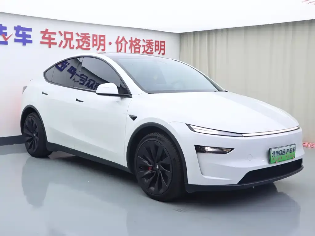 Tesla Model Y — фото 10