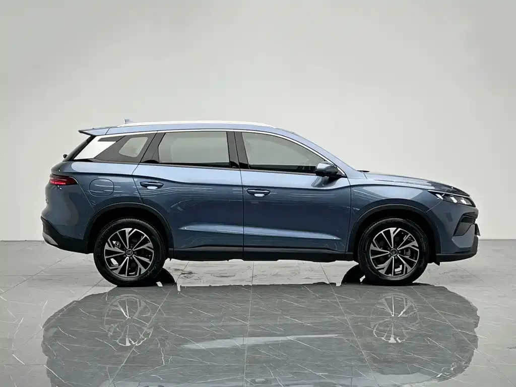 BYD Pro New Energy — фото 3