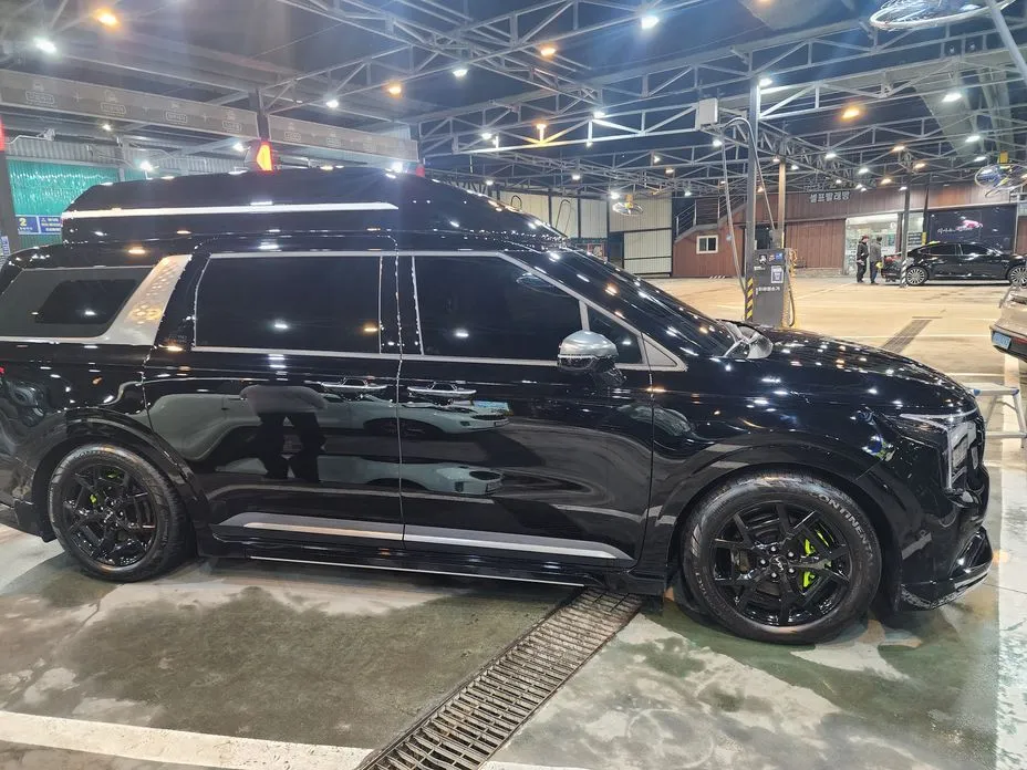Kia Carnival — фото 10