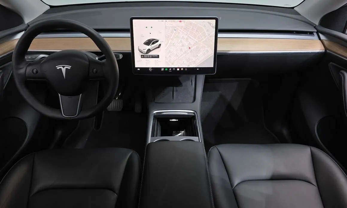 Tesla Model Y — фото 8