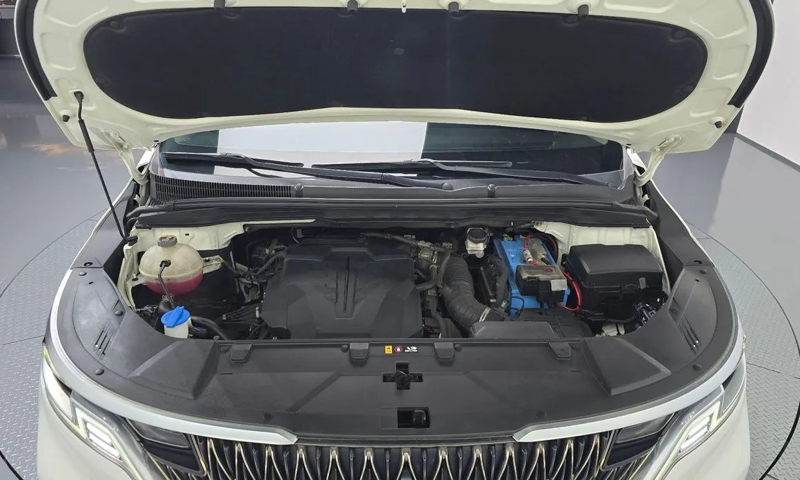Kia Carnival — фото 10
