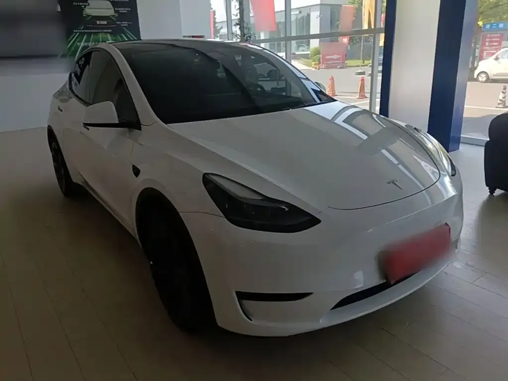 Tesla Model Y — фото 2