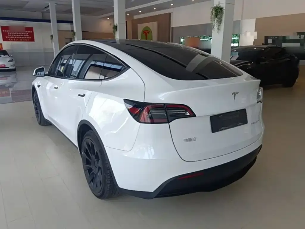 Tesla Model Y — фото 10