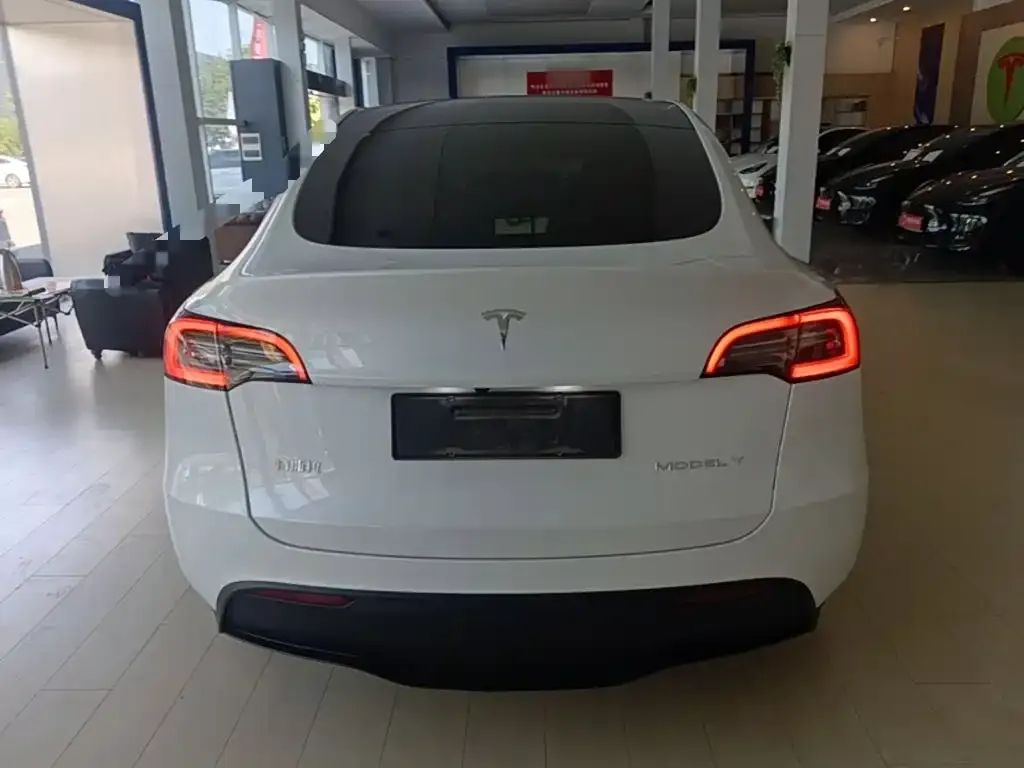 Tesla Model Y — фото 8