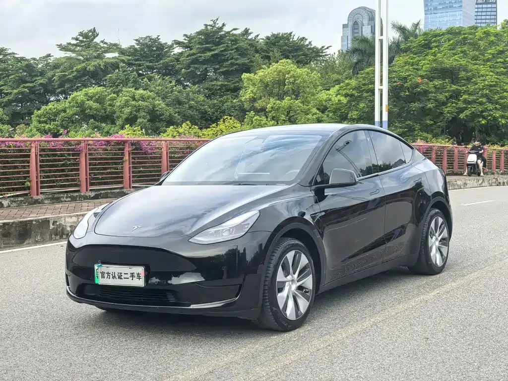 Tesla Model Y — фото 1
