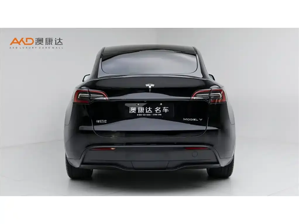 Tesla Model Y — фото 8