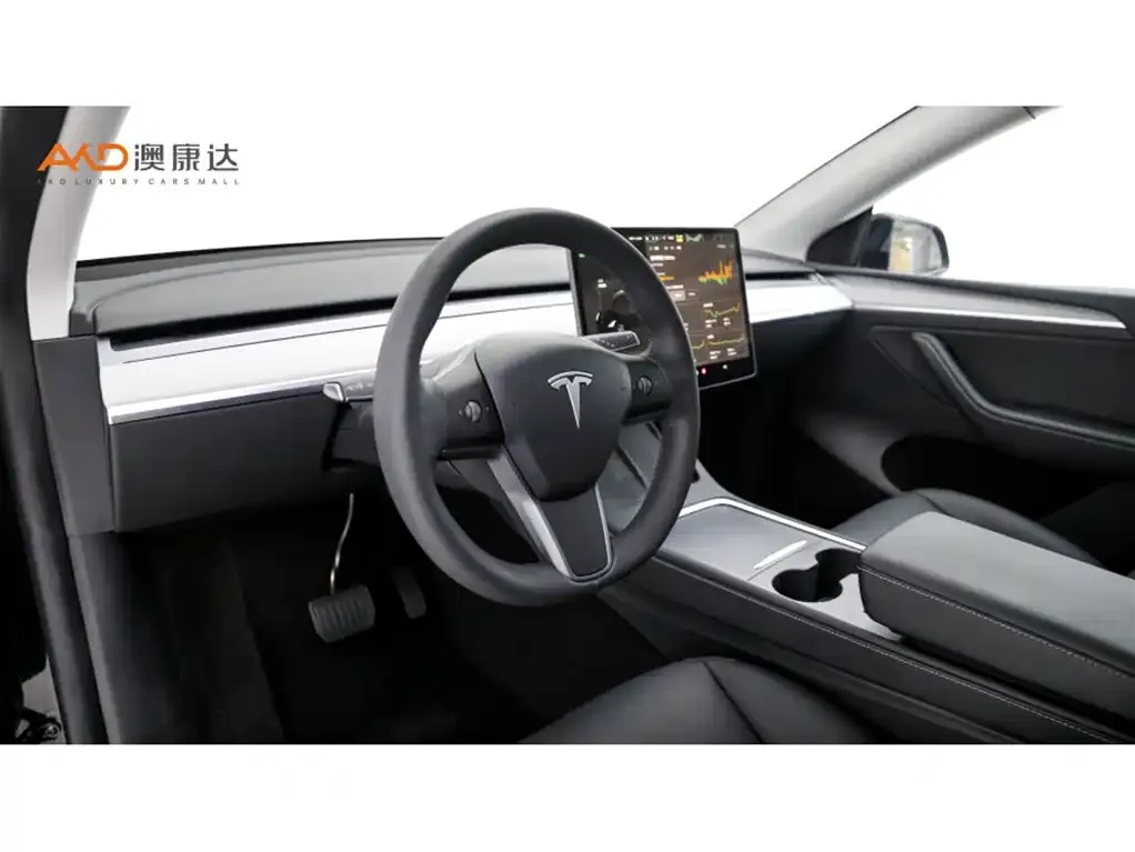 Tesla Model Y — фото 10