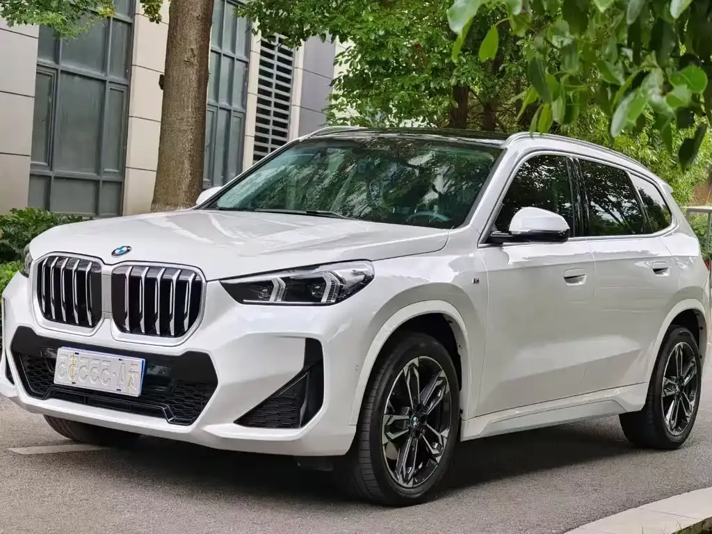 BMW X1 — фото 1