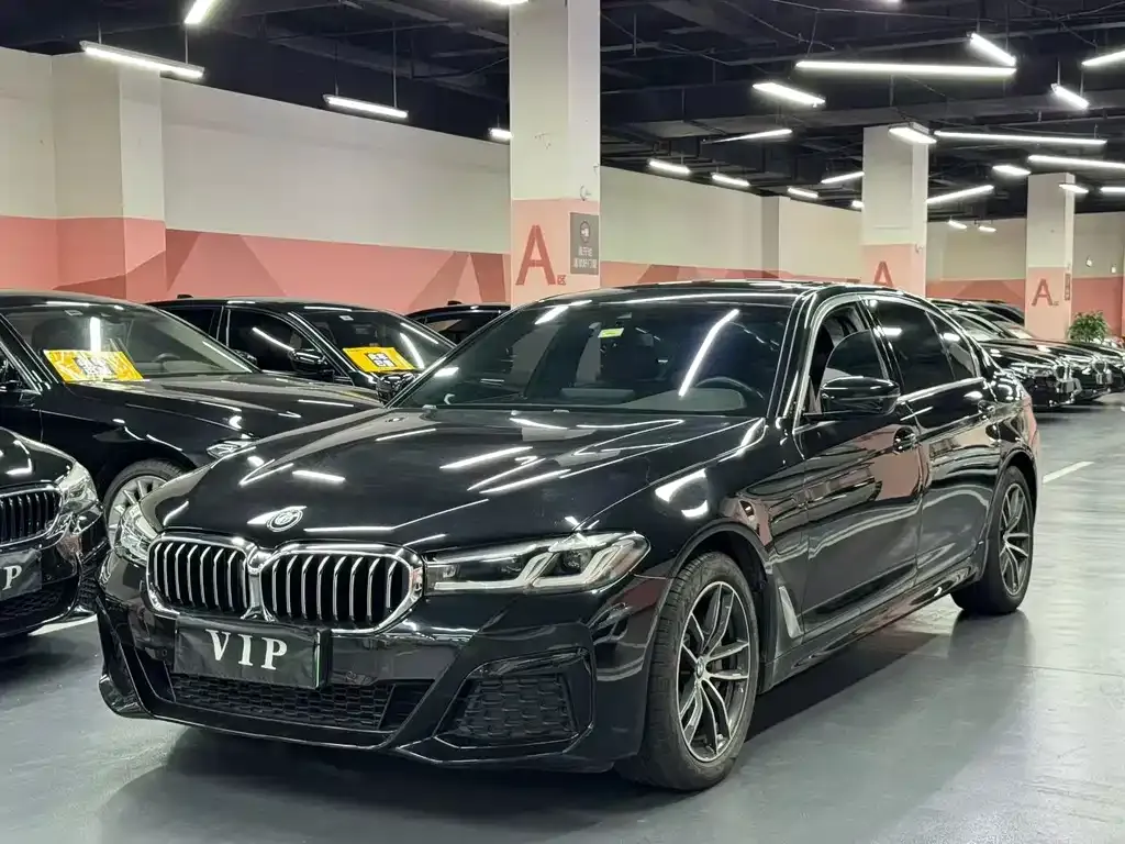 BMW 5 Series New Energy — фото 1