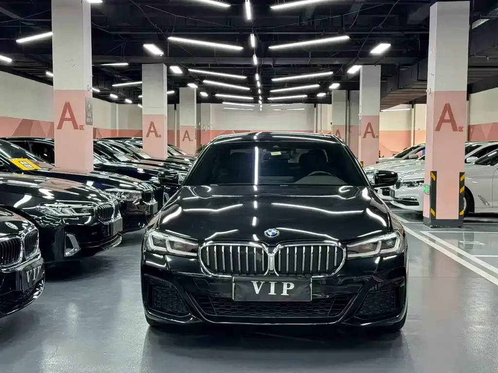 BMW 5 Series New Energy — фото 4