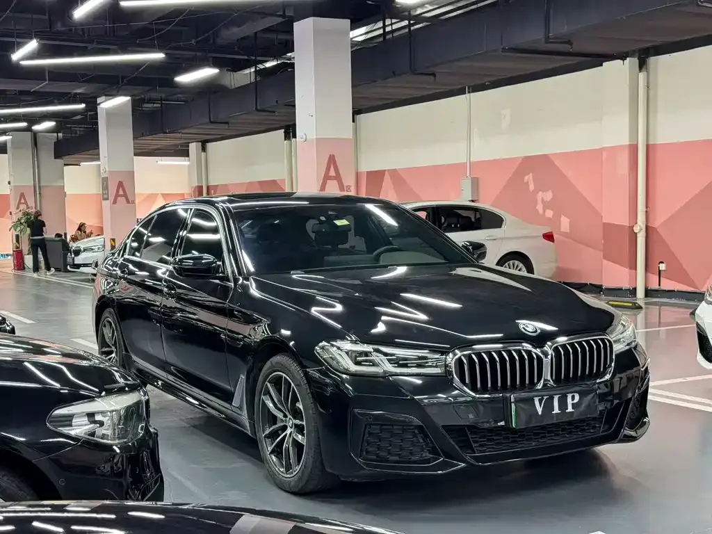 BMW 5 Series New Energy — фото 8