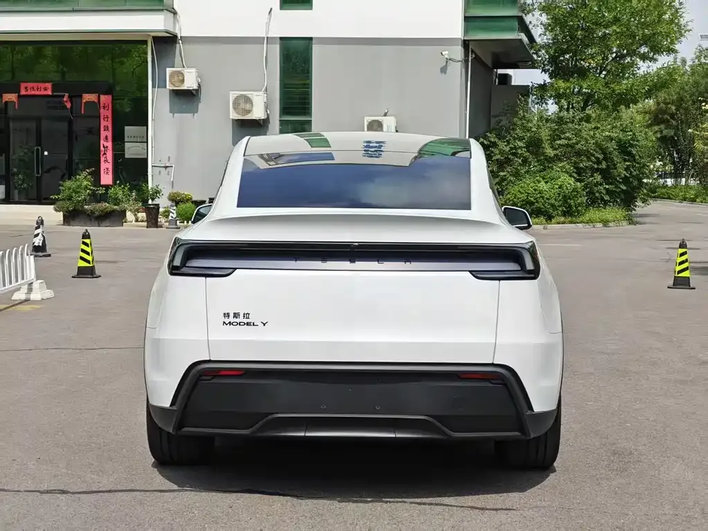 Tesla Model Y — фото 8