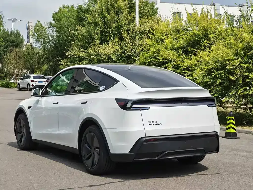 Tesla Model Y — фото 9