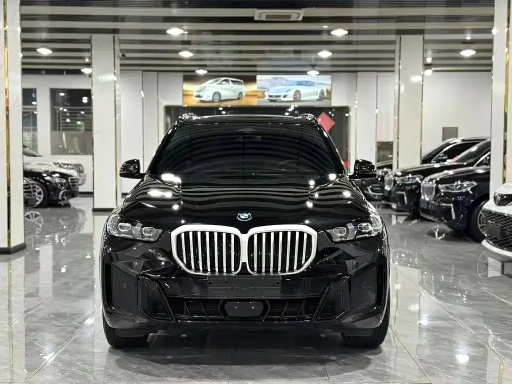BMW X5 — фото 4