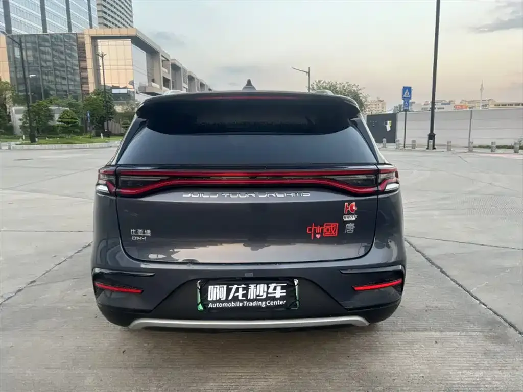 BYD Tang New Energy — фото 7