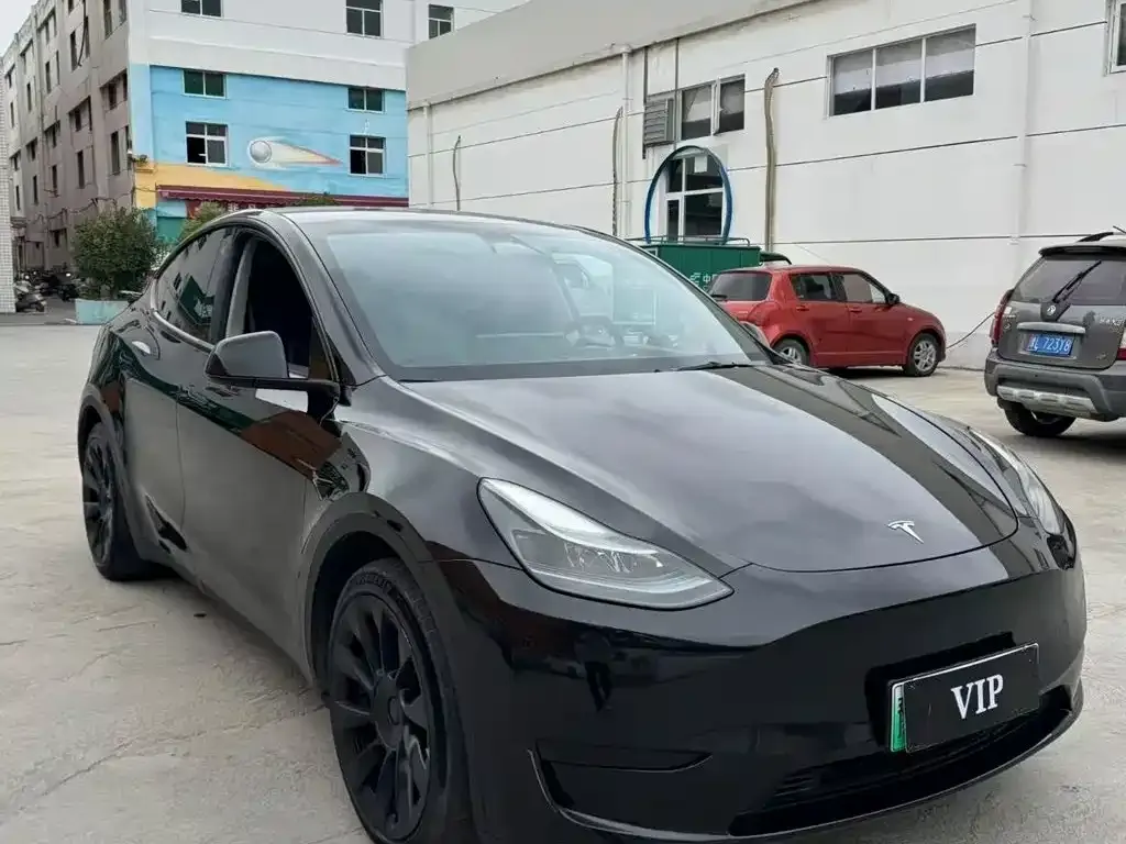 Tesla Model Y — фото 8