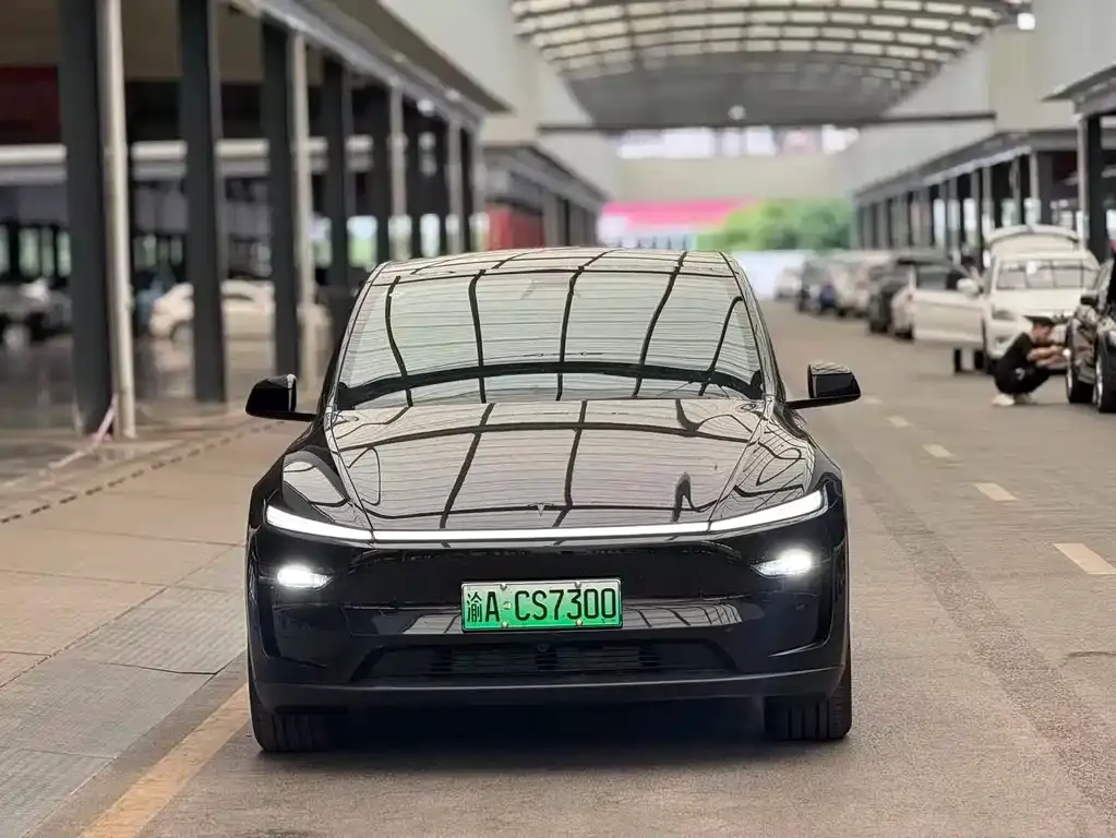 Tesla Model Y — фото 10