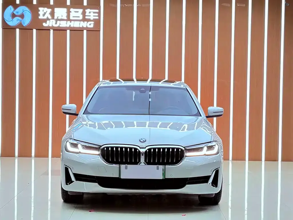 BMW 5 Series New Energy — фото 2