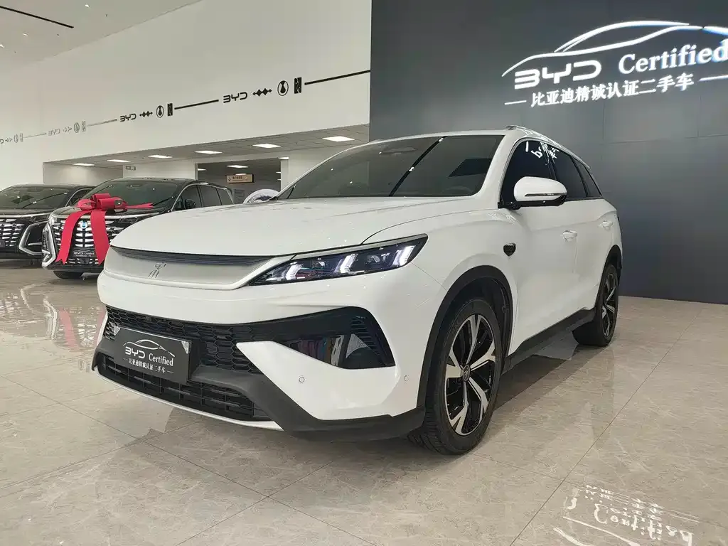 BYD Pro New Energy — фото 1