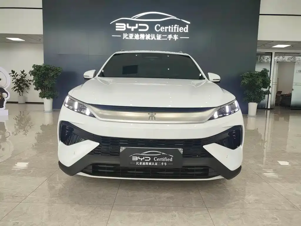 BYD Pro New Energy — фото 4