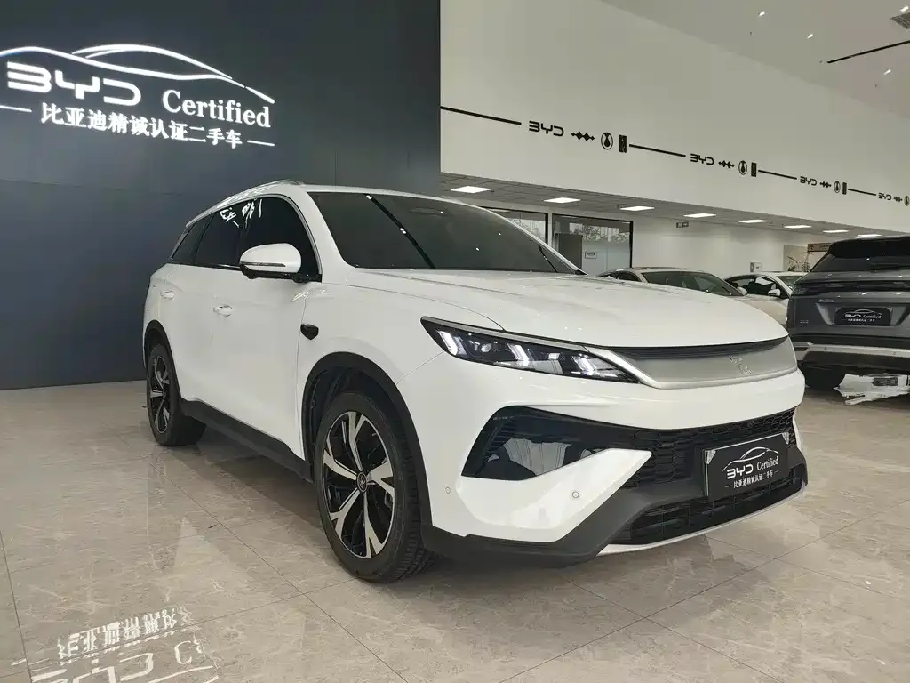 BYD Pro New Energy — фото 8