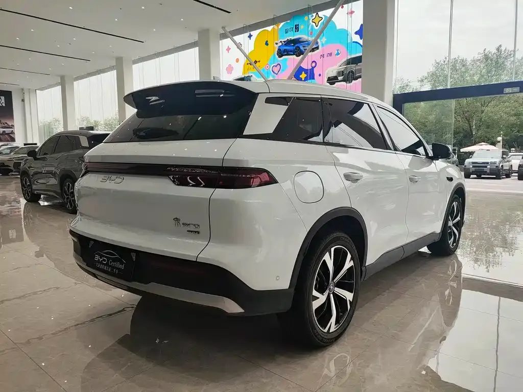 BYD Pro New Energy — фото 5