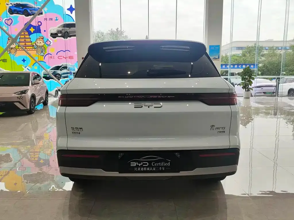 BYD Pro New Energy — фото 9