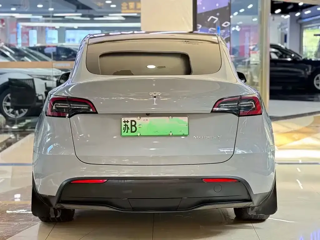 Tesla Model Y — фото 10
