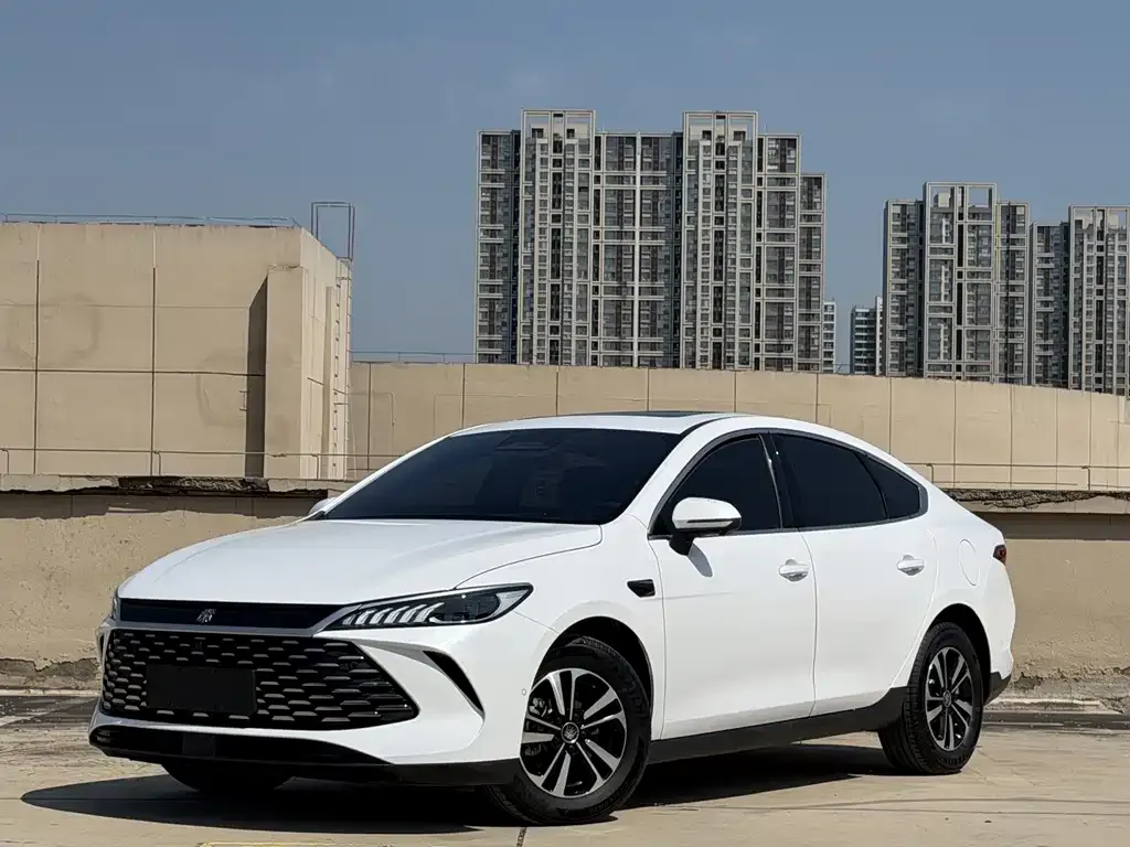 BYD Qin PLUS — фото 1