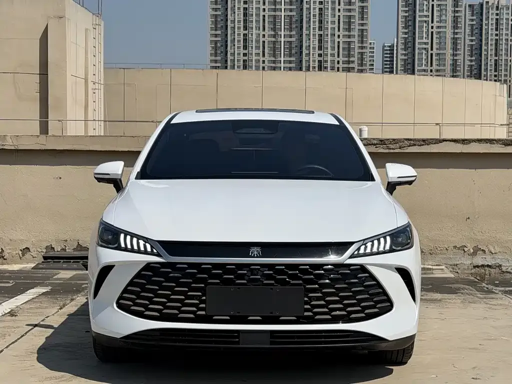 BYD Qin PLUS — фото 4