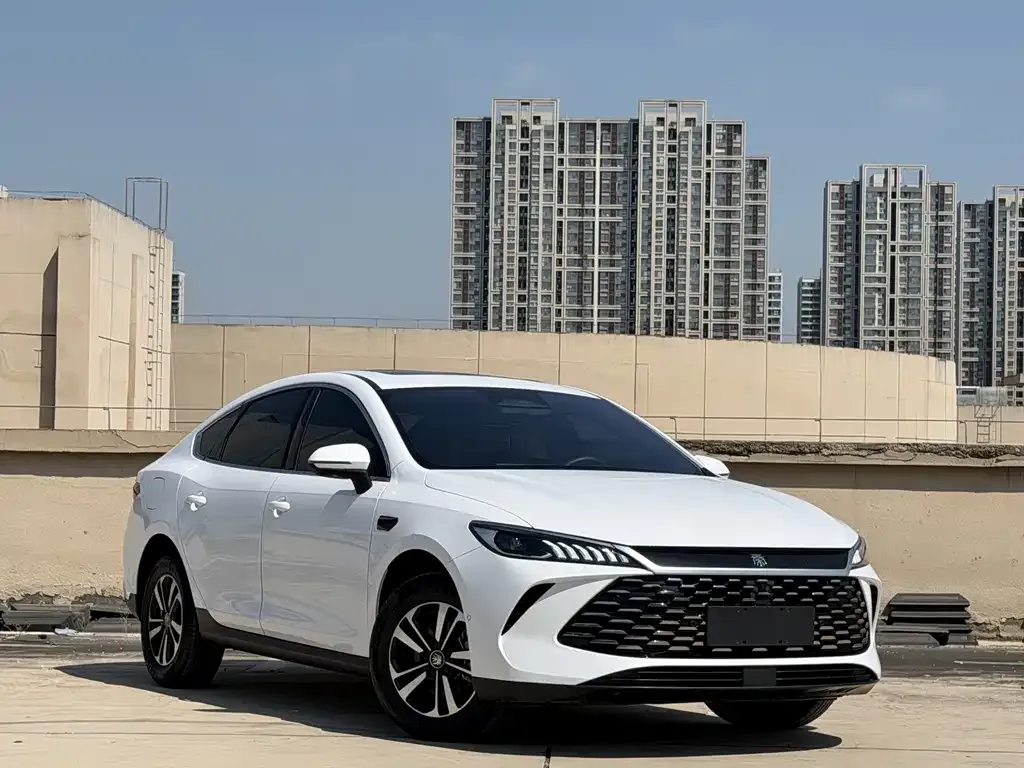 BYD Qin PLUS — фото 5