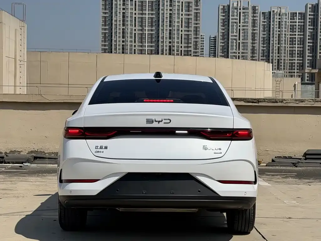 BYD Qin PLUS — фото 6