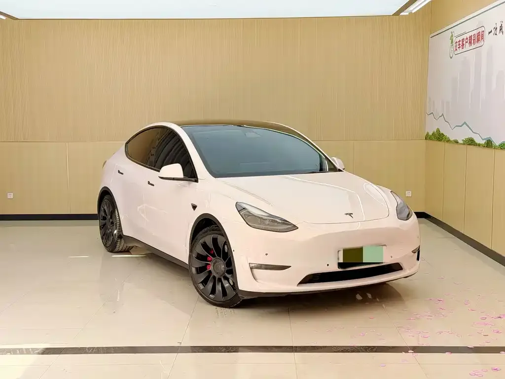 Tesla Model Y — фото 2