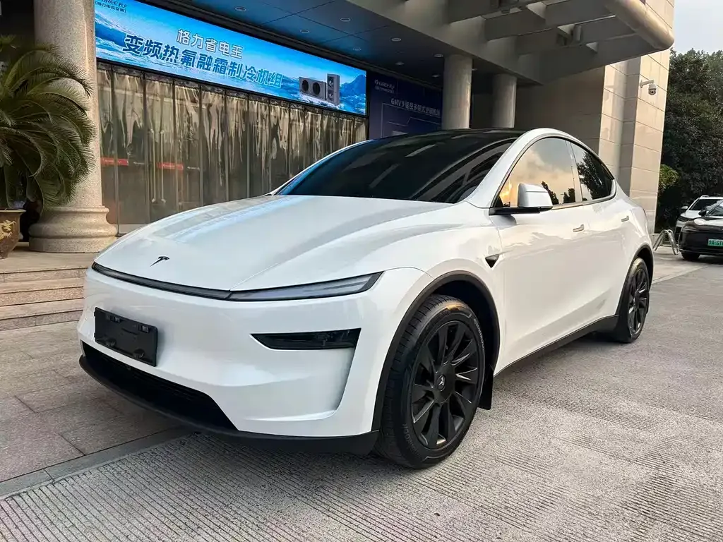 Tesla Model Y — фото 1