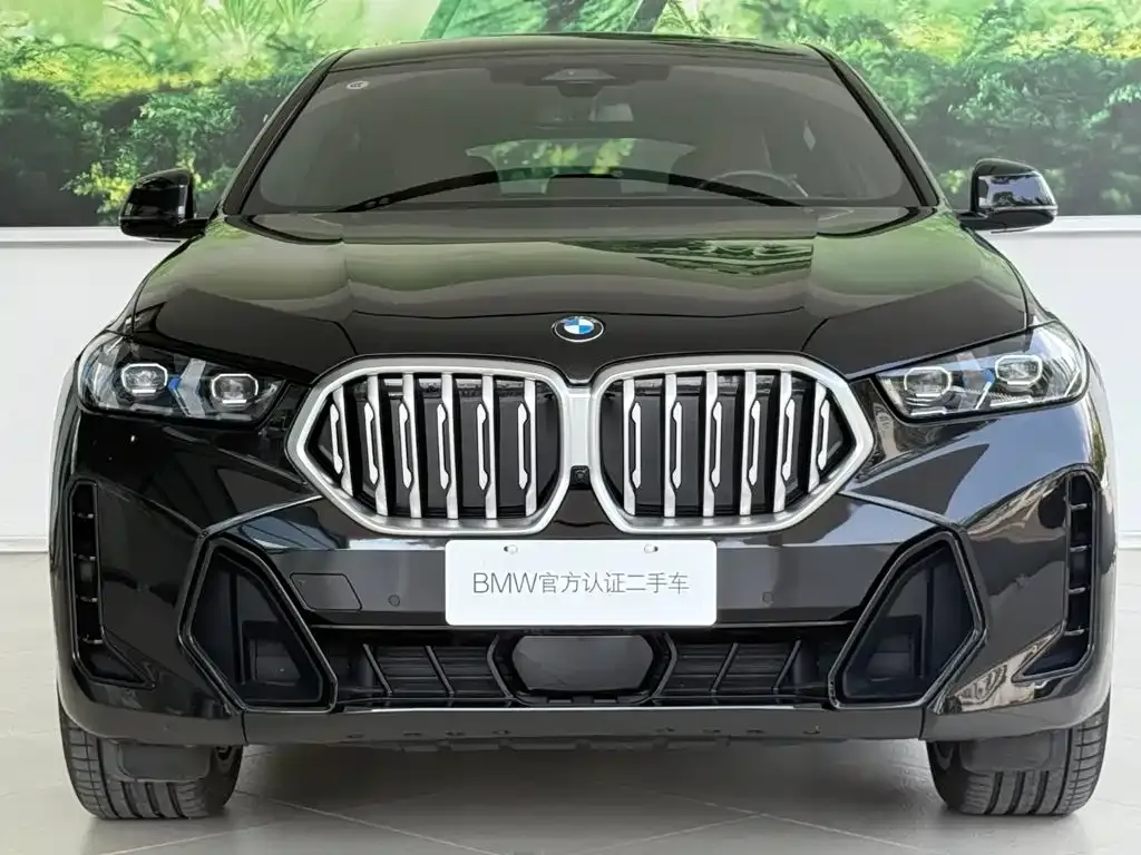 BMW X6 — фото 7