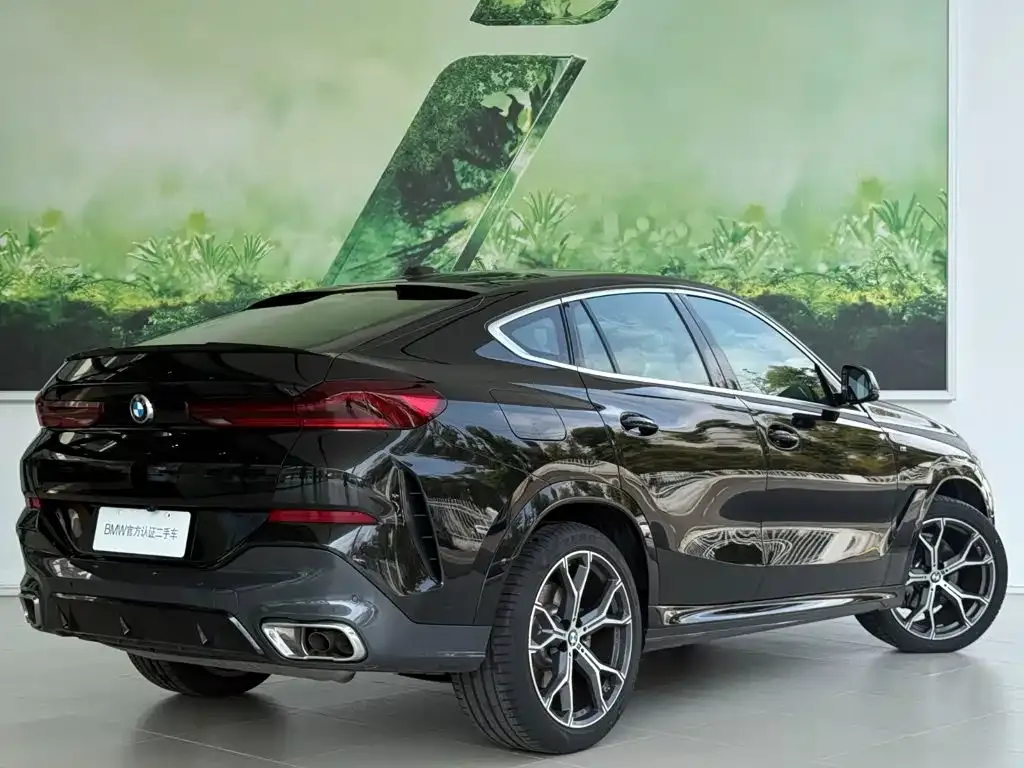 BMW X6 — фото 4