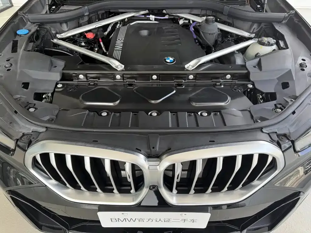 BMW X6 — фото 10