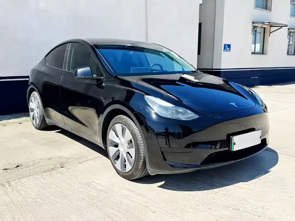 Tesla Model Y — фото 6