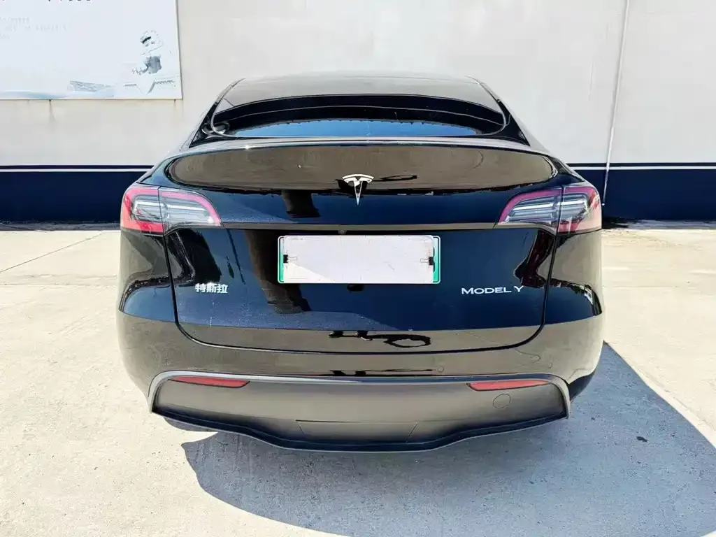 Tesla Model Y — фото 9