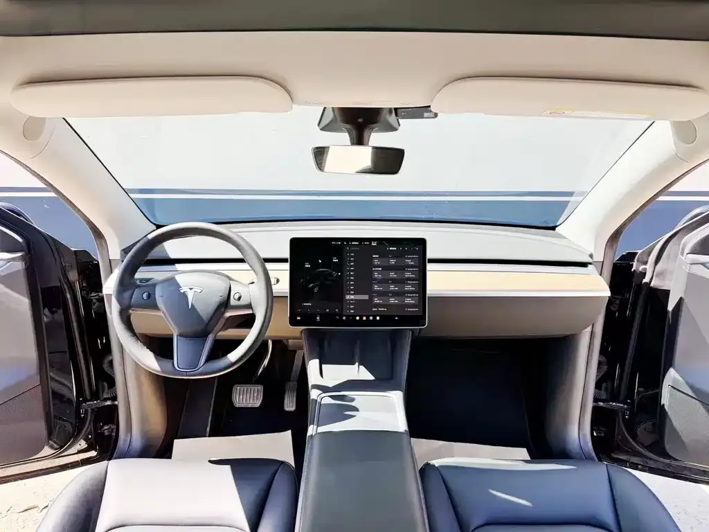 Tesla Model Y — фото 10