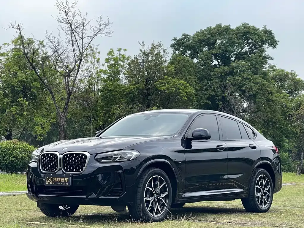 BMW X4 — фото 1