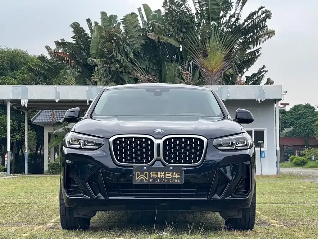 BMW X4 — фото 4