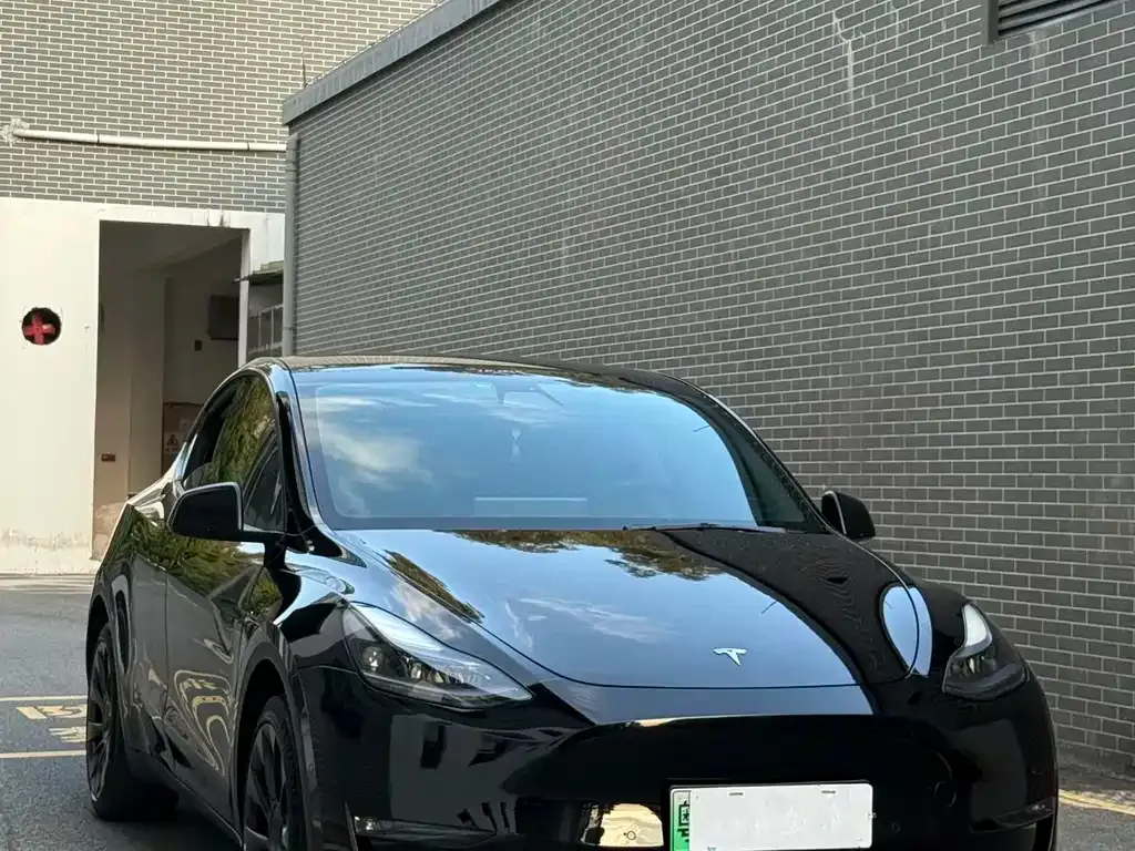 Tesla Model Y — фото 1